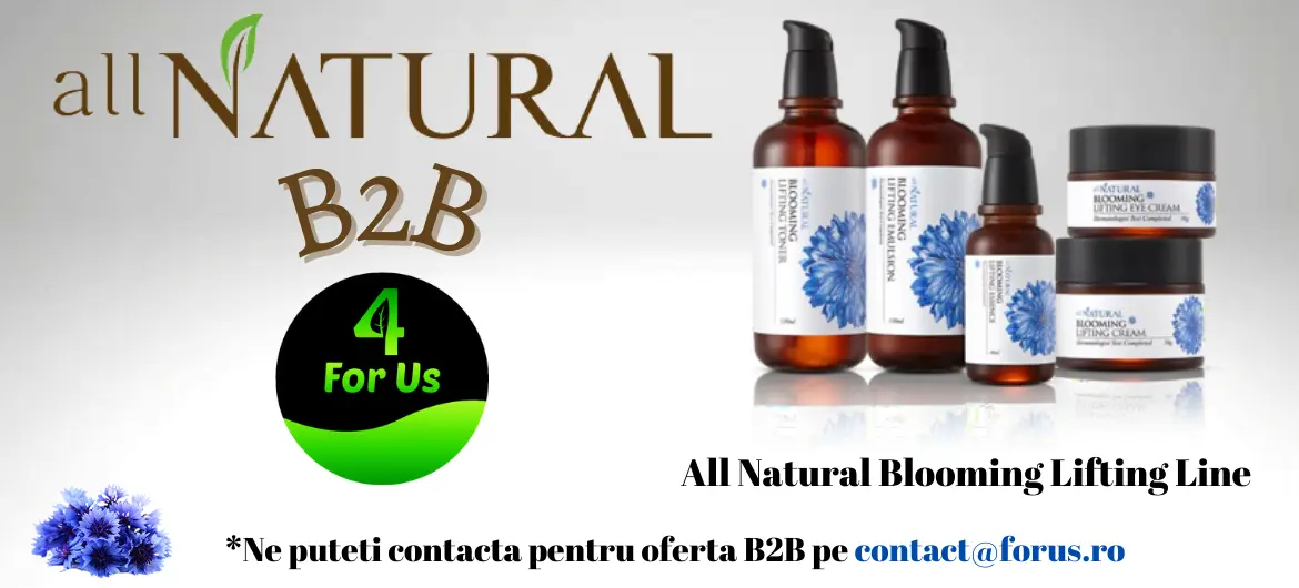 B2B